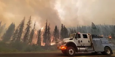 Texas A&M Forest Service